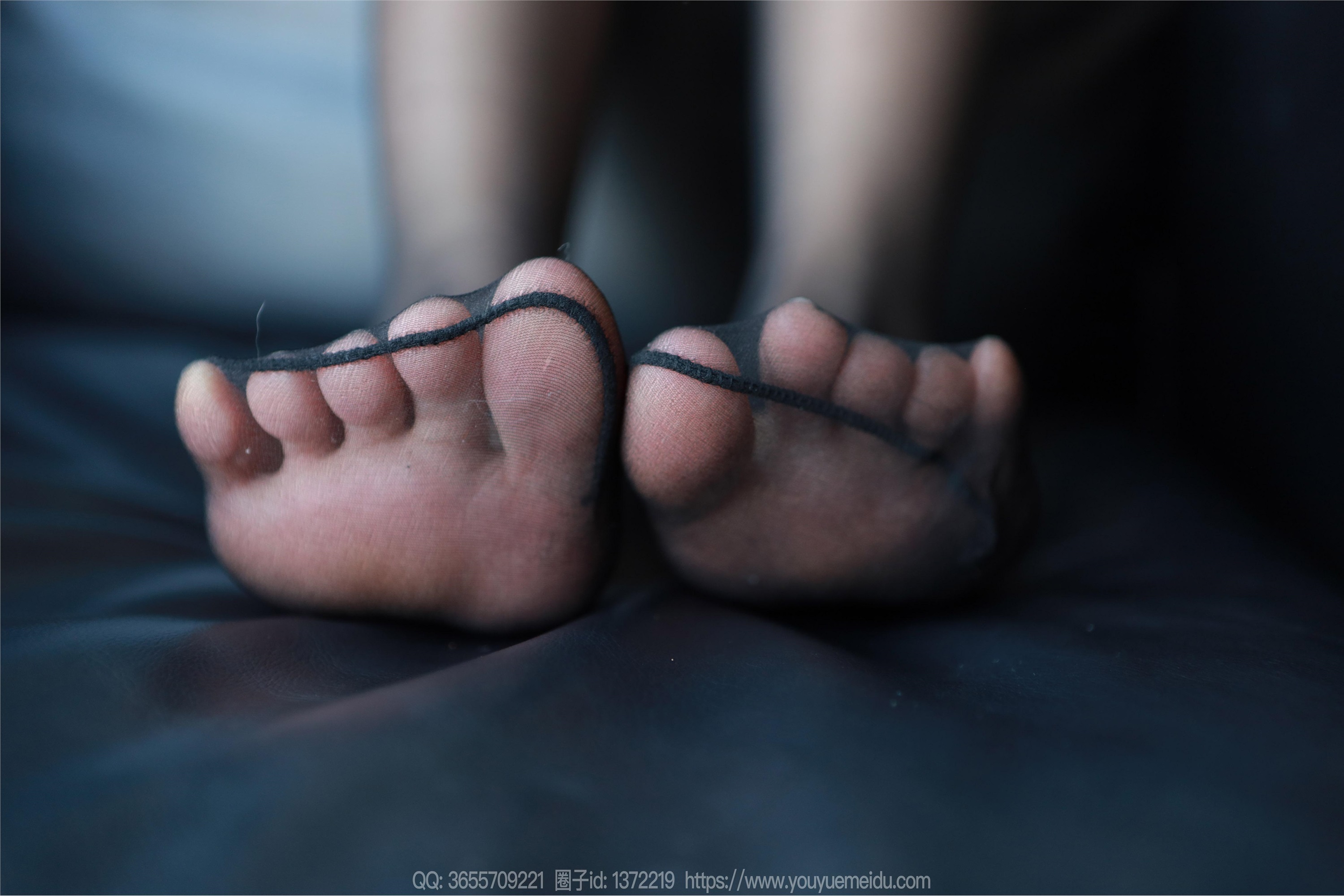 IESS异思趣向  2025.02.26 丝享家 1987 小金《毛绒绒》